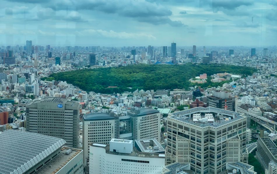 View of Yoyogi Park from Tokyo Metropolitan Government Building 