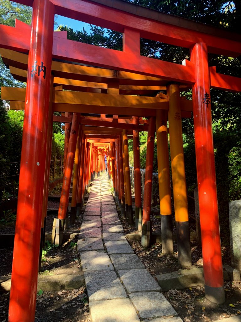 Tunnel of Torii