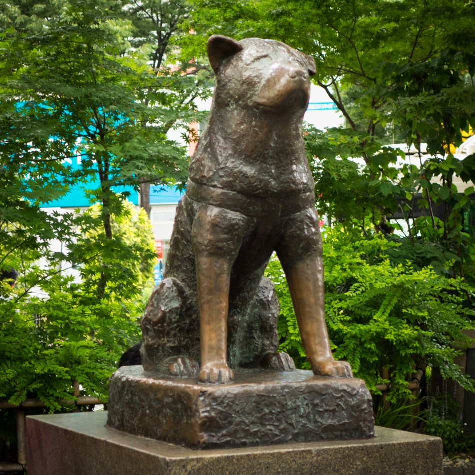 Hachiko at Shibuya