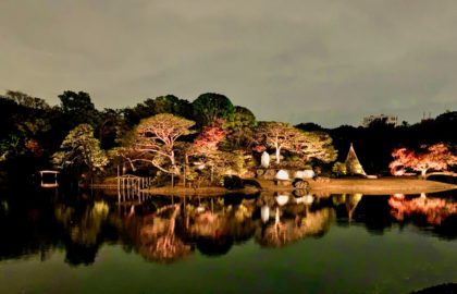 Rikugien-Fall-Night