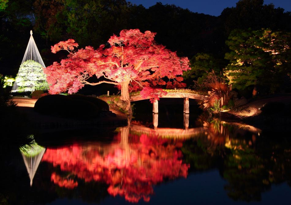 Rikugien Fall Illumination