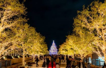 Yebisu Garden Place Winter Illumination